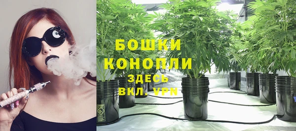 стафф Липки