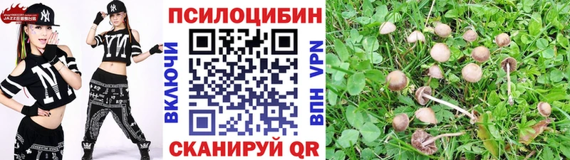 Псилоцибиновые грибы MAGIC MUSHROOMS  Купить  Плёс 